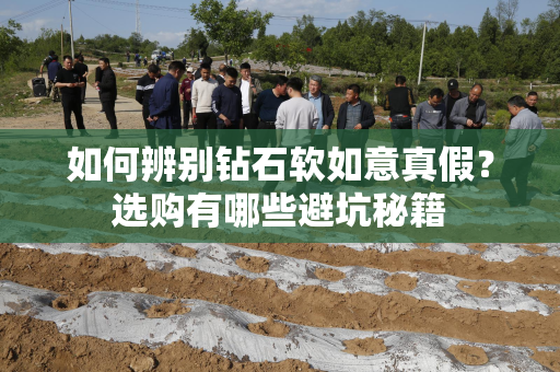如何辨别钻石软如意真假？选购有哪些避坑秘籍